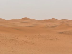 Illustrative image Expansive Sand Dunes in Riyadh, Saudi Arabia used in Accordemy®'s training on Land Management and Saudization Objectives (Exclusively for Saudi Arabia)