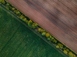 Illustrative image Aerial View of Cultivated Farmland and Green Meadows used in Accordemy®'s training on Land Affairs and Environmental Management