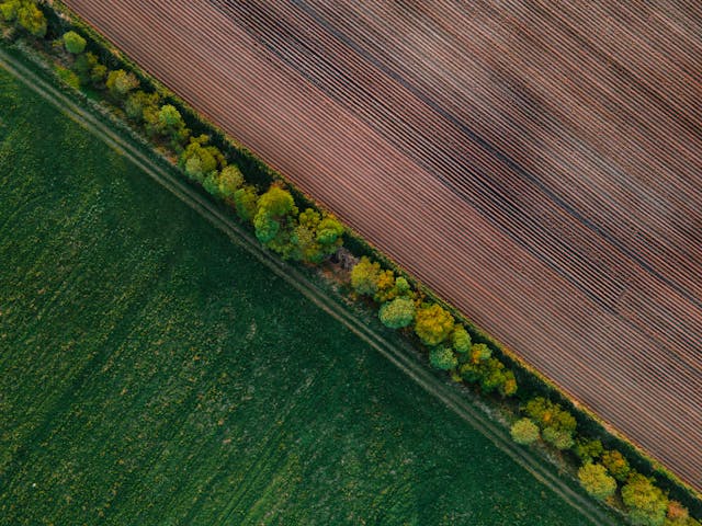 Illustrative image Aerial View of Cultivated Farmland and Green Meadows used in Accordemy®'s training on Land Affairs and Environmental Management